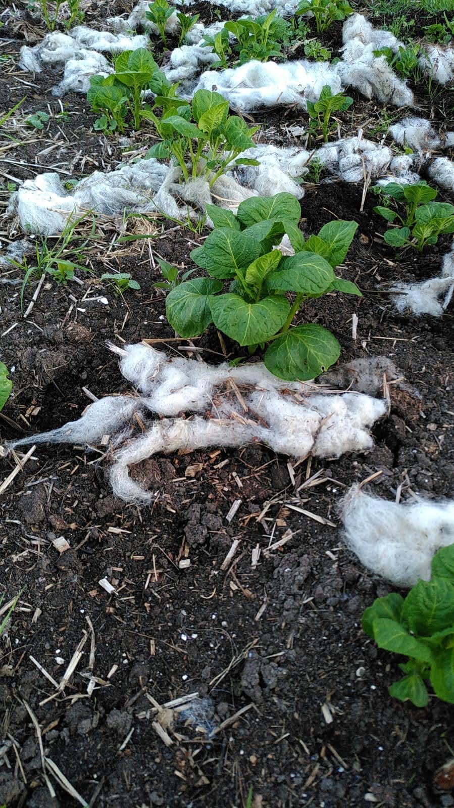 Wat te doen met “rest”-wol?